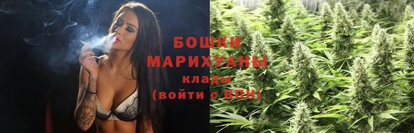 молекула духа Вязьма