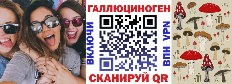 Псилоцибиновые грибы Psilocybine cubensis  где купить   Грязи 
