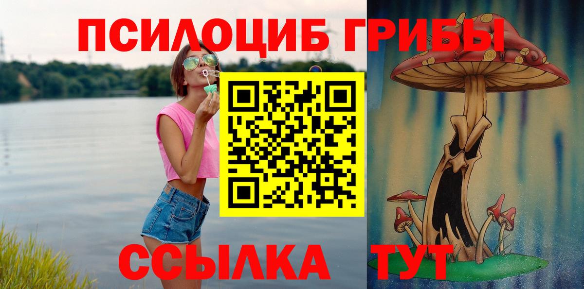 Грязи  Галлюциногенные грибы мухоморы  Вход с VPN  Галлюциногенные грибы мицелий 