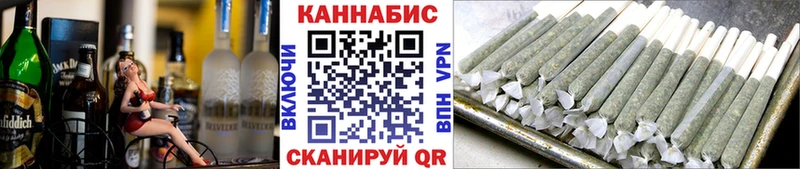 Бошки Шишки планчик  Грязи 